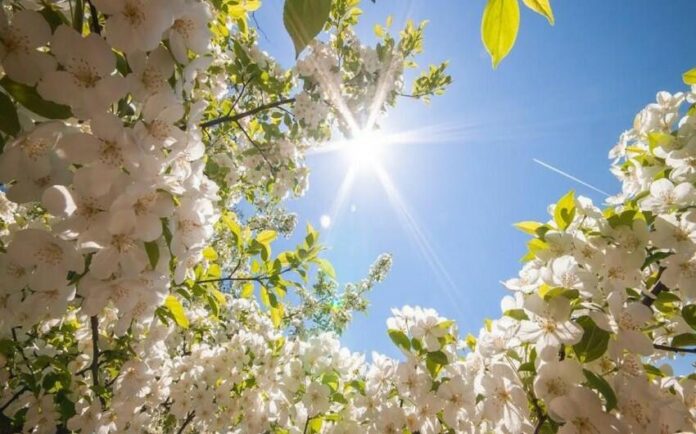 hava