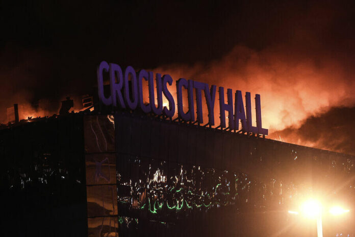crocus_trt